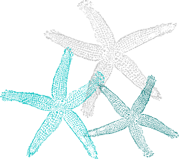 Textured Starfish Illustration PNG image