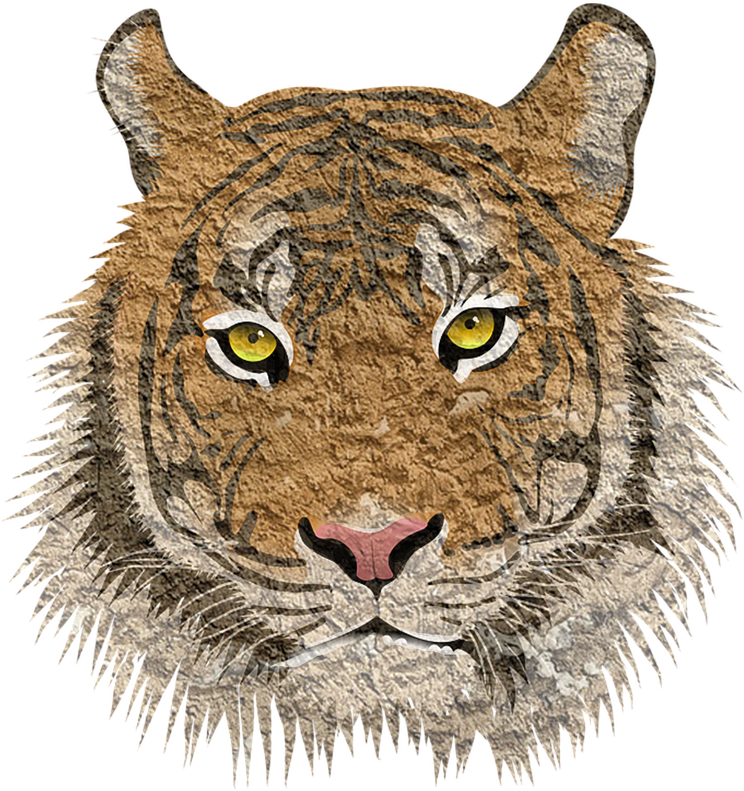 Textured Tiger Face Illustration PNG image