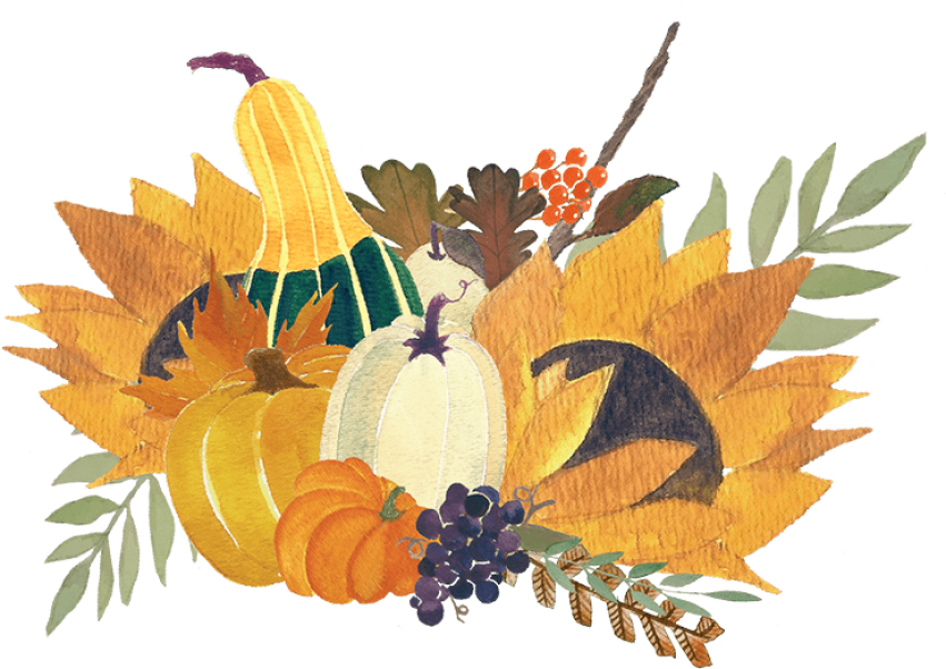 Thanksgiving Harvest Cornucopia Illustration PNG image