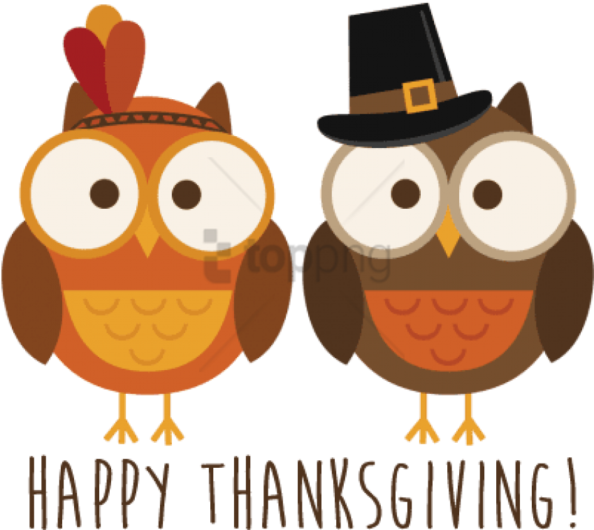 Thanksgiving Owls Celebration PNG image