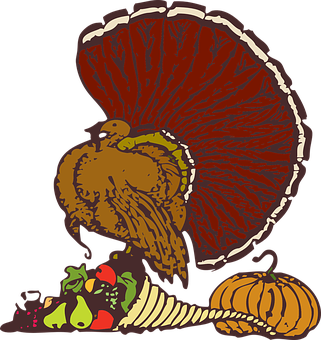 Thanksgiving Turkey Illustration PNG image