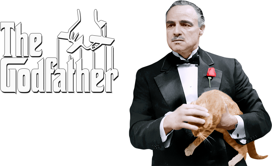 The Godfather Movie Iconic Scene PNG image