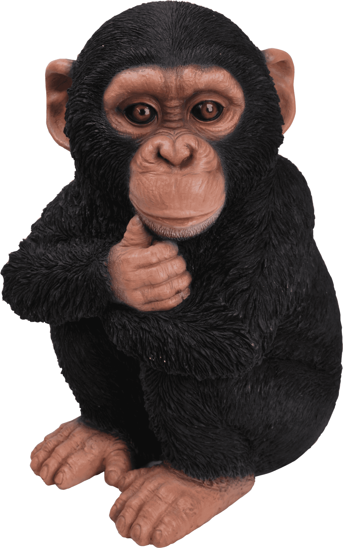 Thoughtful Chimpanzee Statue PNG image
