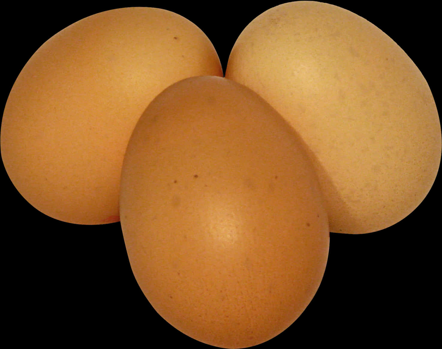Three Brown Eggson Black Background PNG image