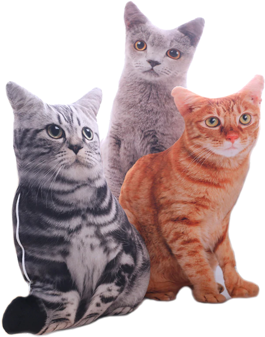 Three Cat Cushions Display PNG image