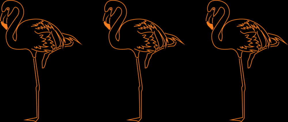 Three Flamingos Orange Silhouette PNG image