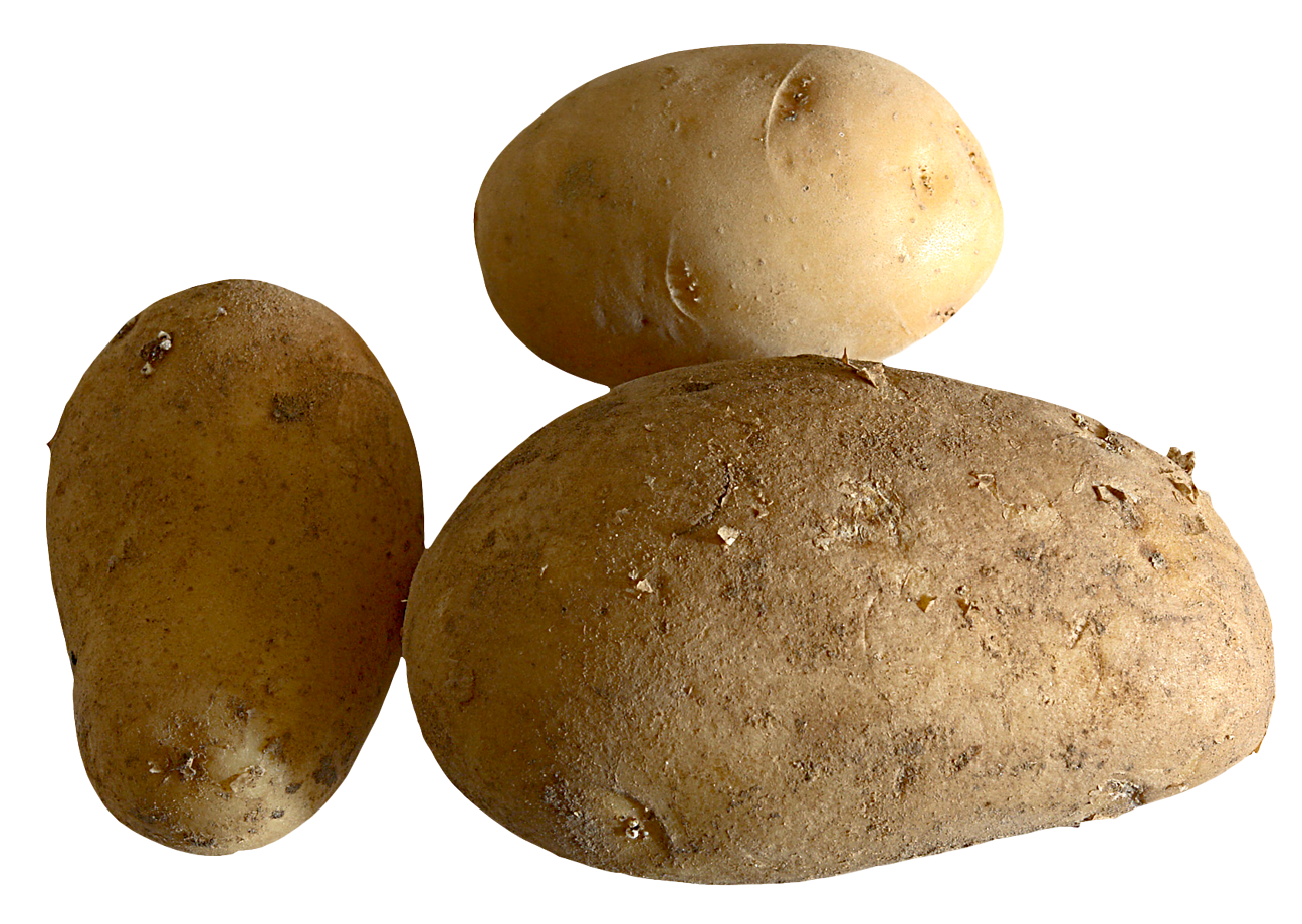 Three Fresh Potatoes PNG image