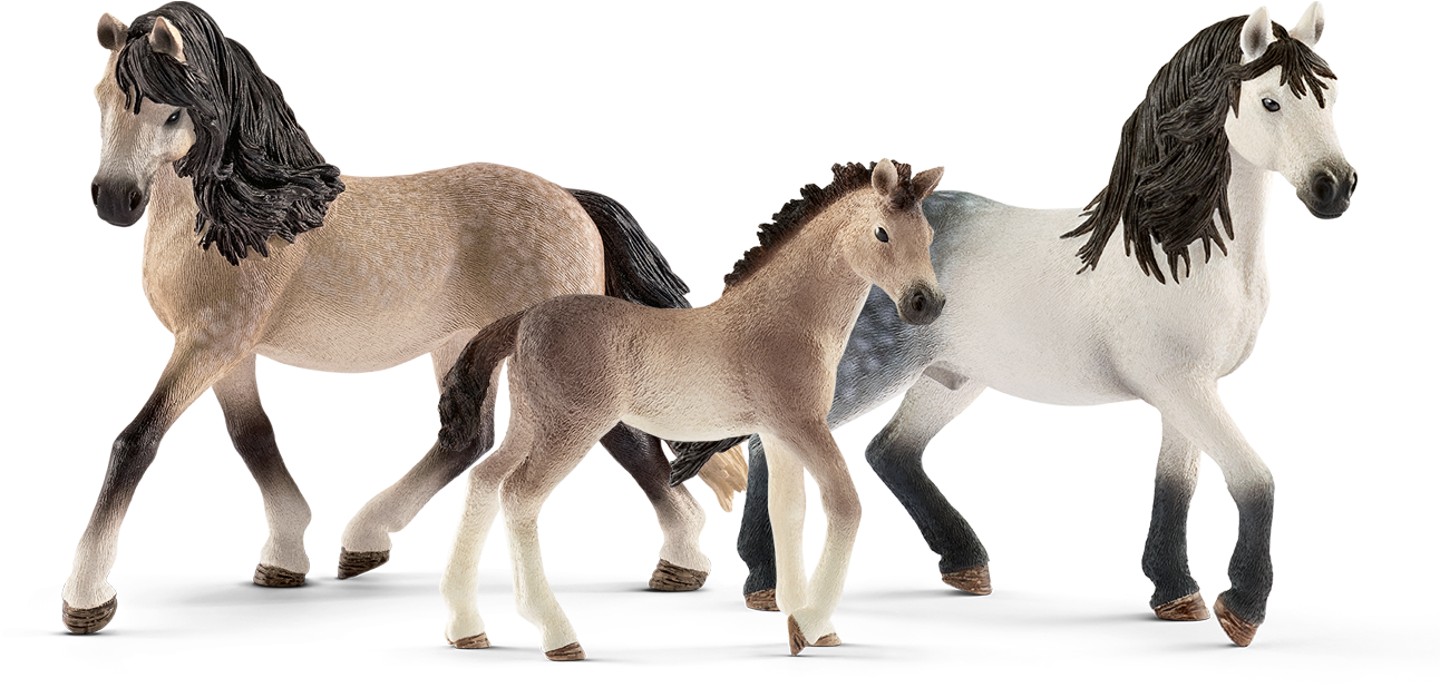 Three Horse Family Walking Together PNG image