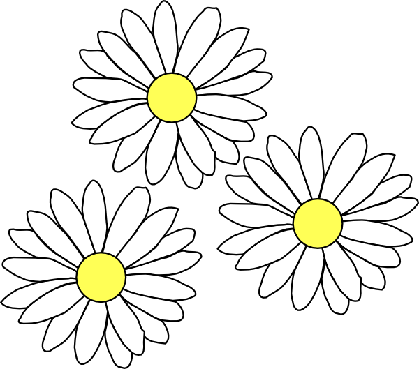 Three White Daisies Illustration.png PNG image