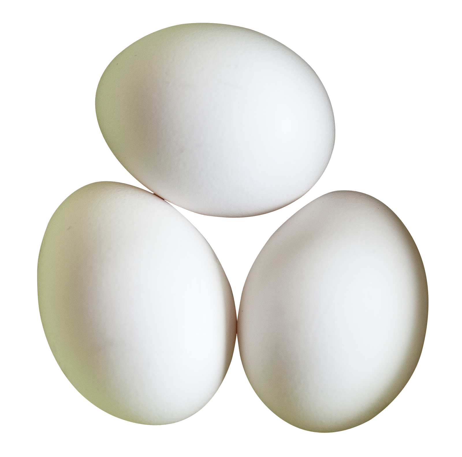 Three White Eggson Gray Background PNG image