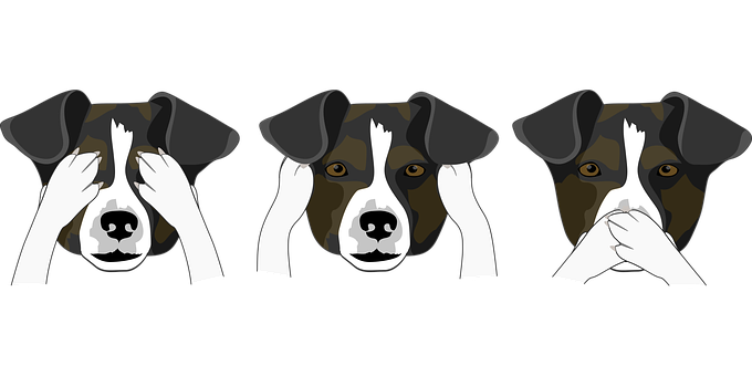 Three Wise Dogs Illustration PNG image