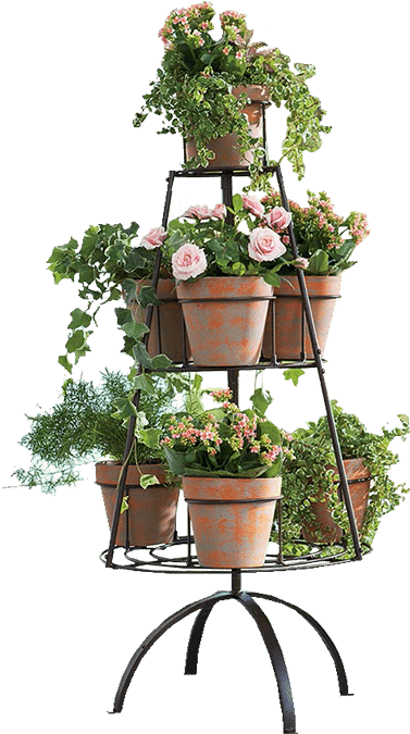 Tiered Plant Standwith Flowering Pots PNG image