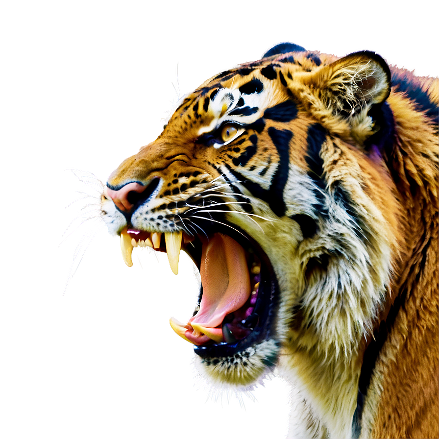 Tiger Growling Png Qty55 PNG image