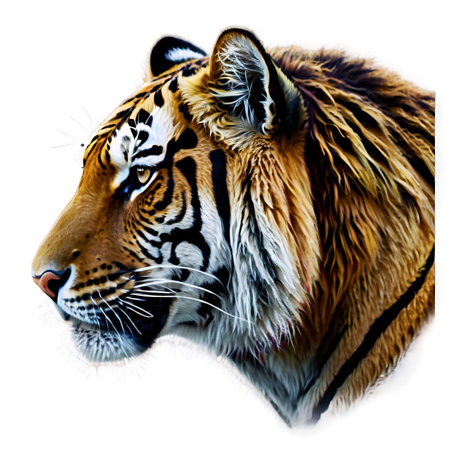 Tiger Head Png 92 PNG image