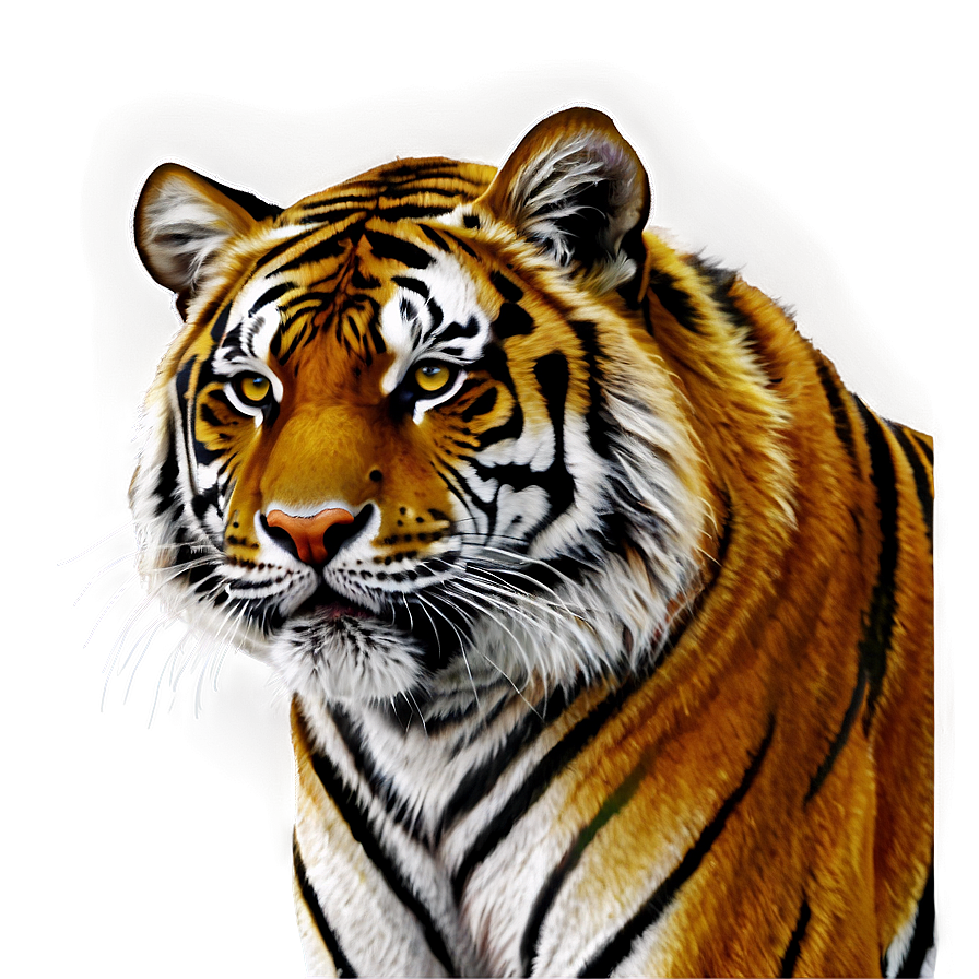 Tiger In Night Png Lpn21 PNG image