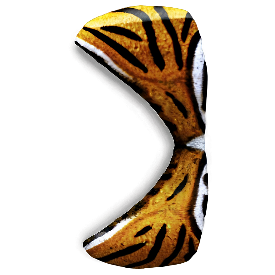 Tiger Print Png 06252024 PNG image