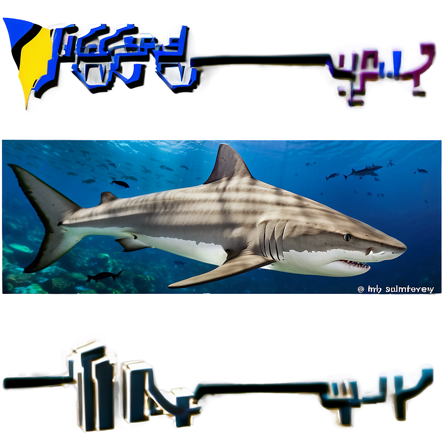 Tiger Shark With Shipwreck Png 40 PNG image