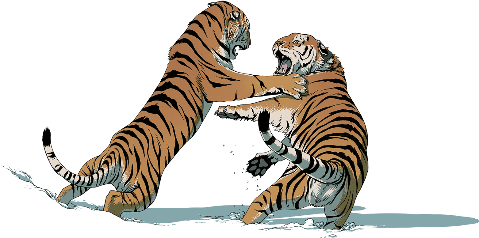 Tigers_ In_ Conflict.png PNG image