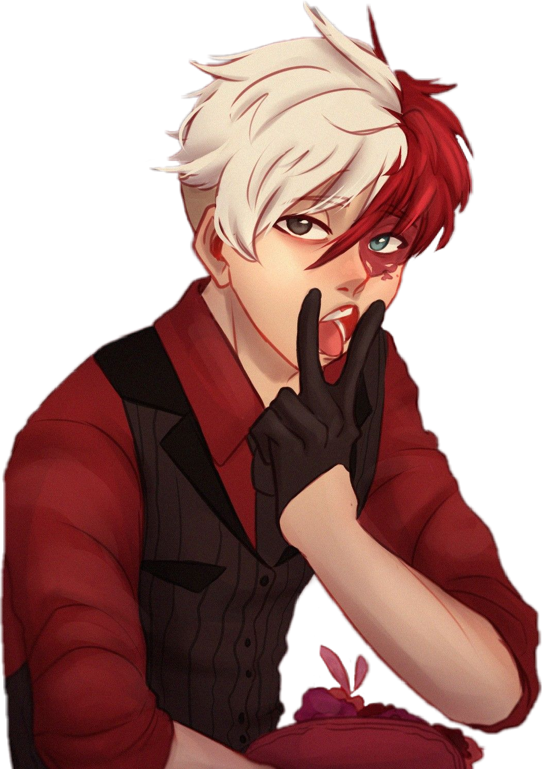 Todoroki Anime Character Art PNG image