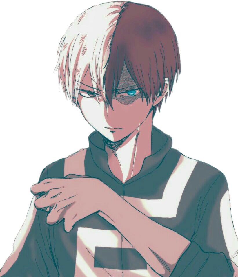 Todoroki Halfand Half Hero PNG image