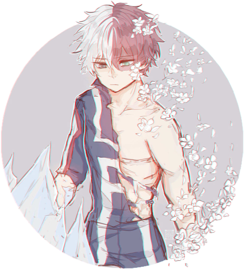 Todoroki Shoto Sakura Flourish PNG image