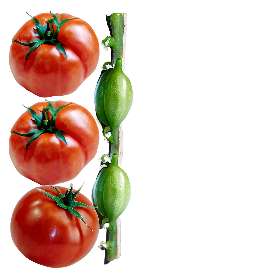 Tomatoes On Wooden Surface Png 61 PNG image