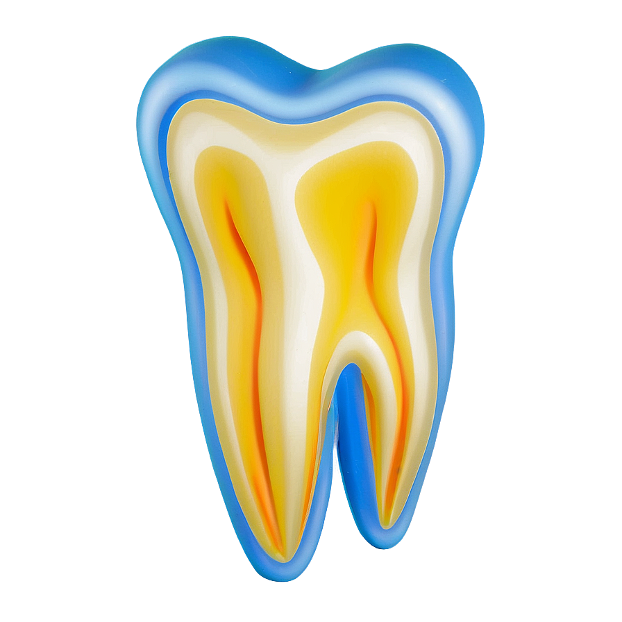 Tooth Model Png 05242024 PNG image