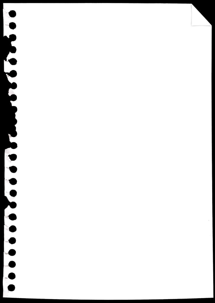 Torn Notebook Paper Edge PNG image