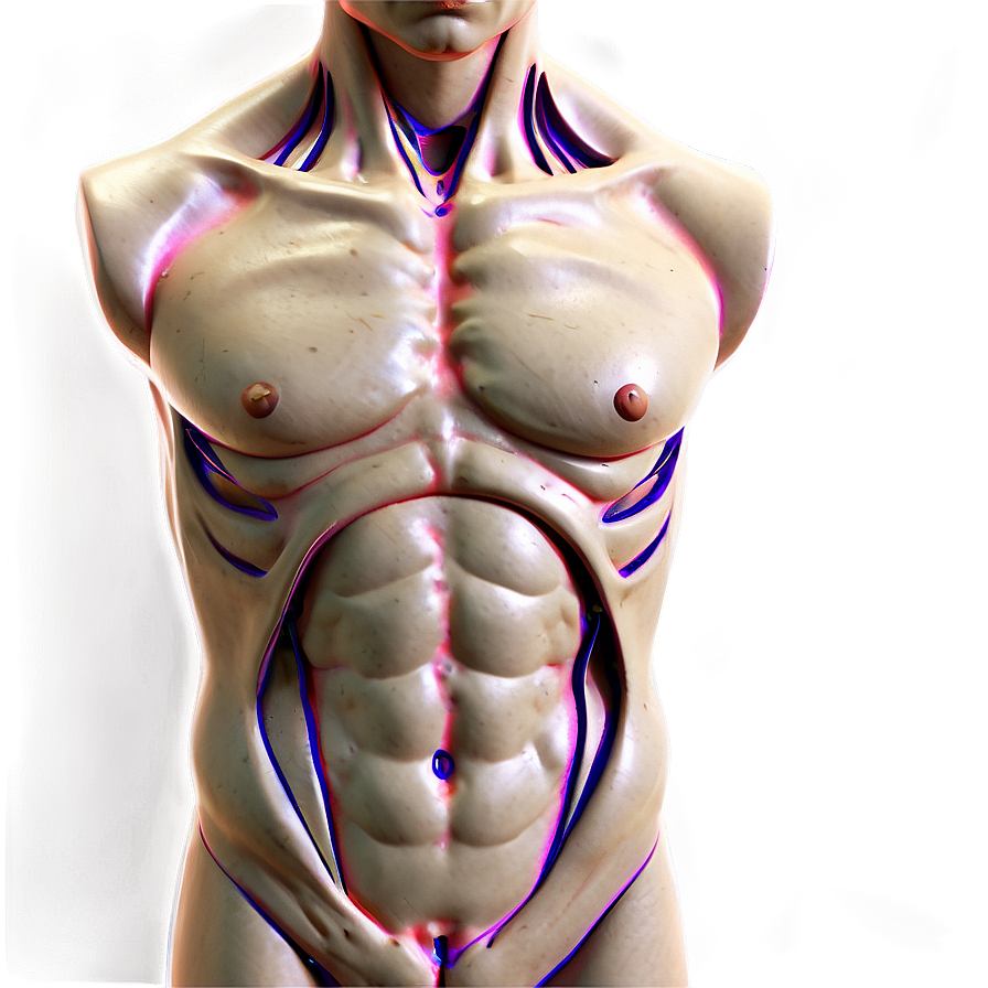 Torso B PNG image