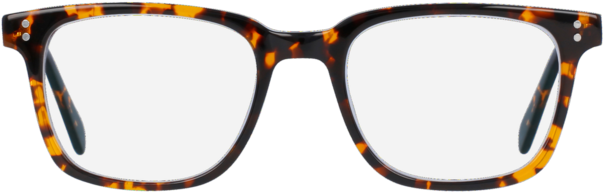 Tortoiseshell Acetate Sunglasses PNG image