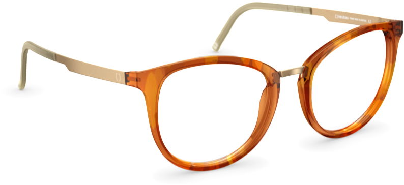 Tortoiseshell Eyeglasses Transparent Background PNG image