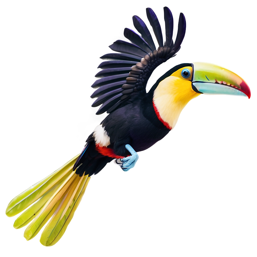 Toucan In Flight Png 06112024 PNG image