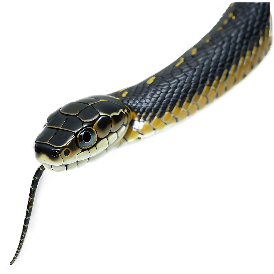 Traditional Japanese Snake Png 22 PNG image