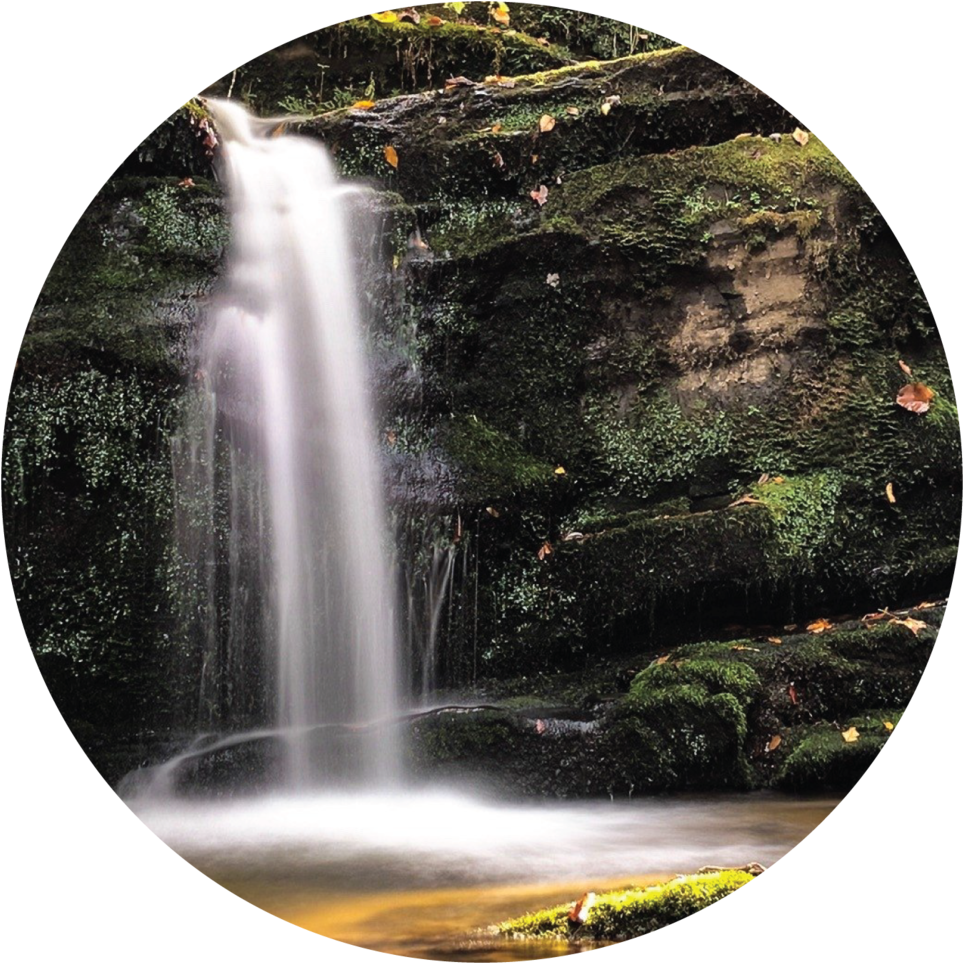 Tranquil Forest Waterfall PNG image