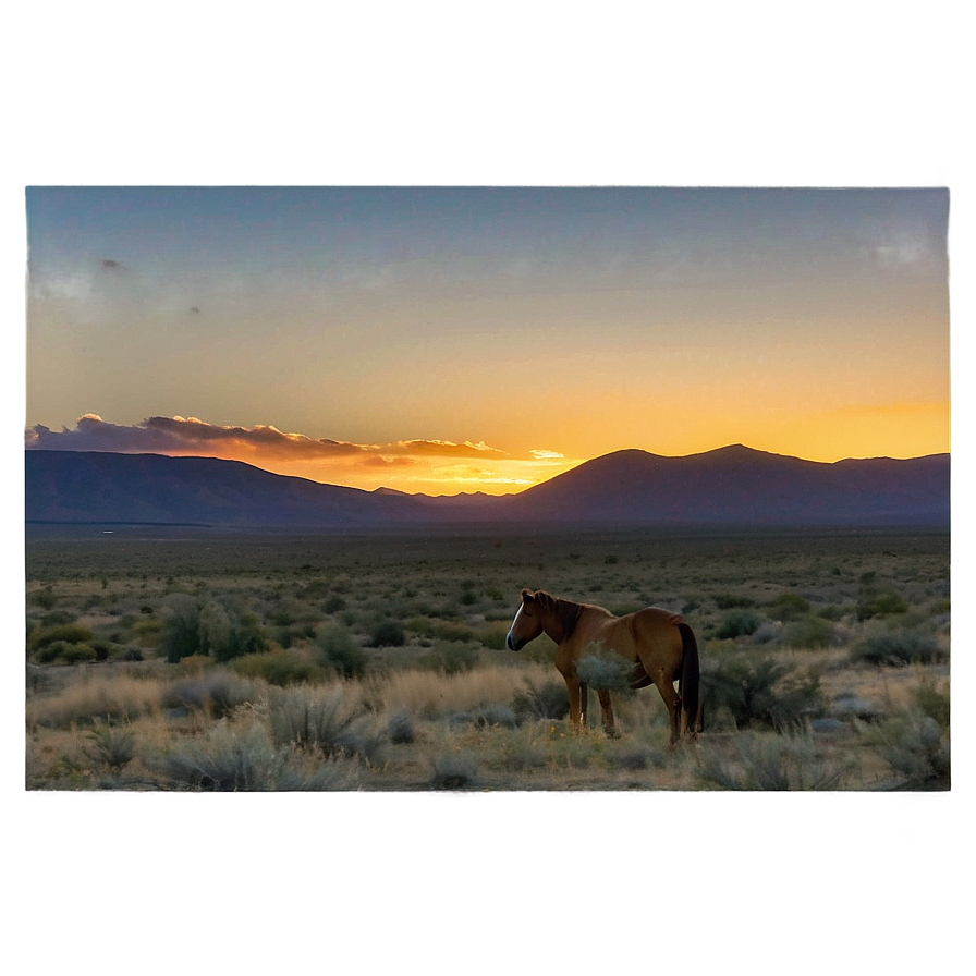 Tranquil Mustang Horse Sunrise Png Osm85 PNG image