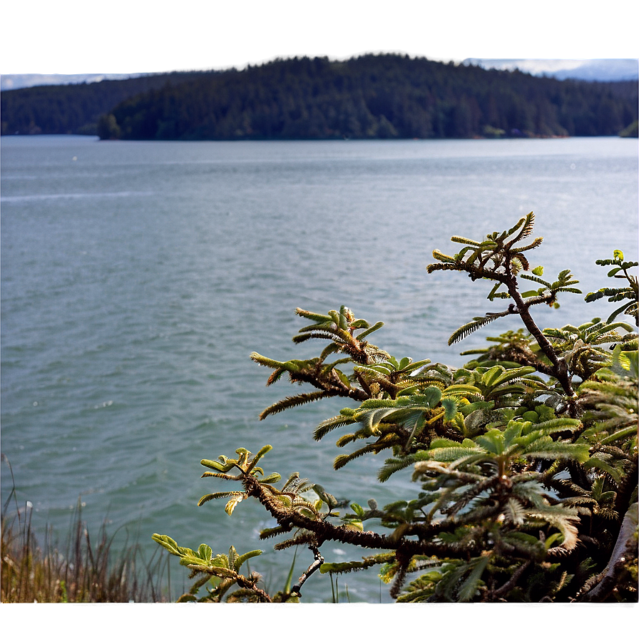 Tranquil San Juan Islands Png Kdp PNG image