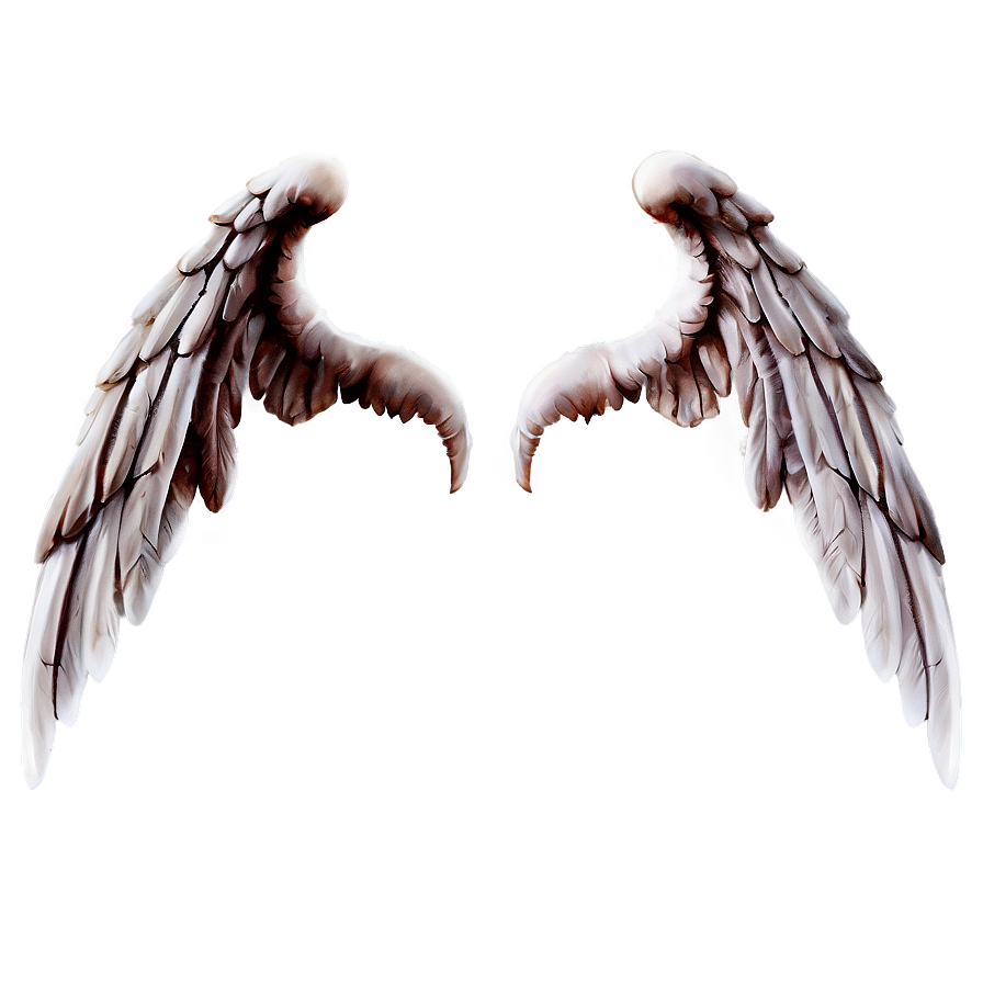 Transparent Angel Wings Design Png Wnr PNG image