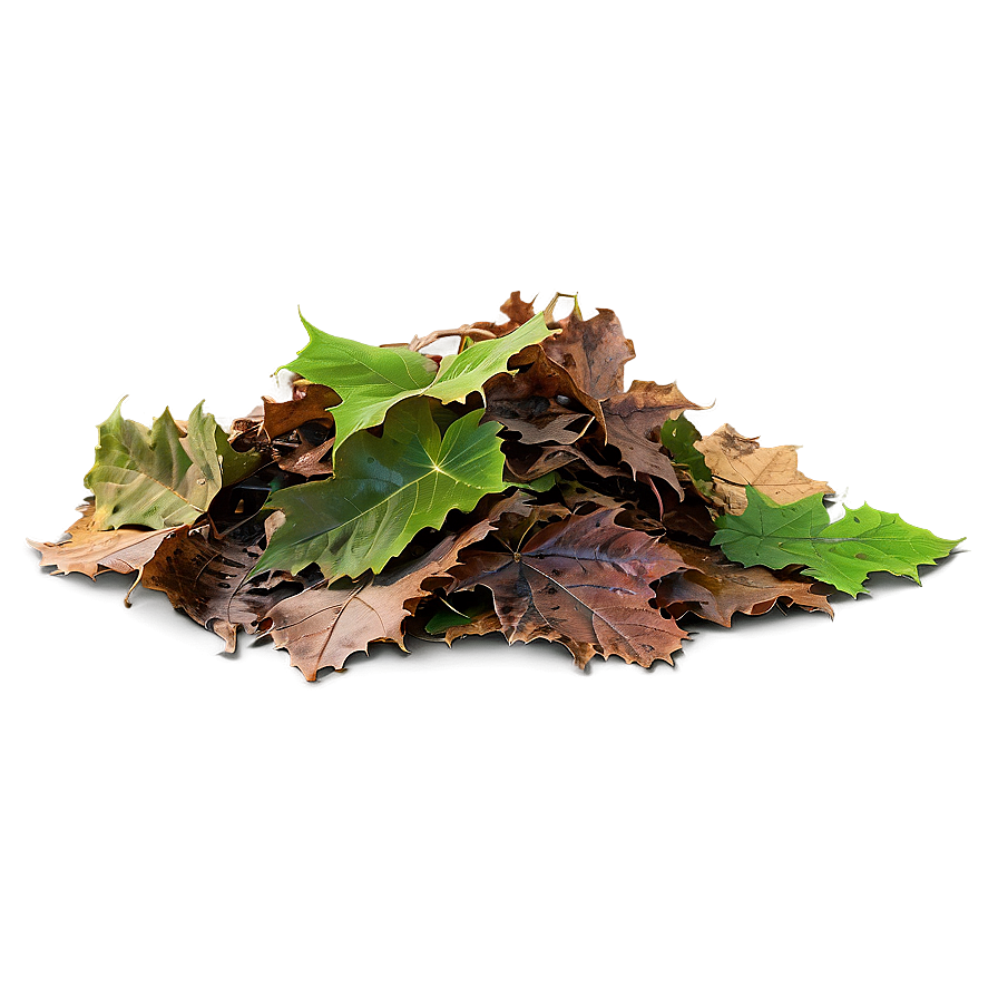 Transparent Background Leaf Pile Png 82 PNG image