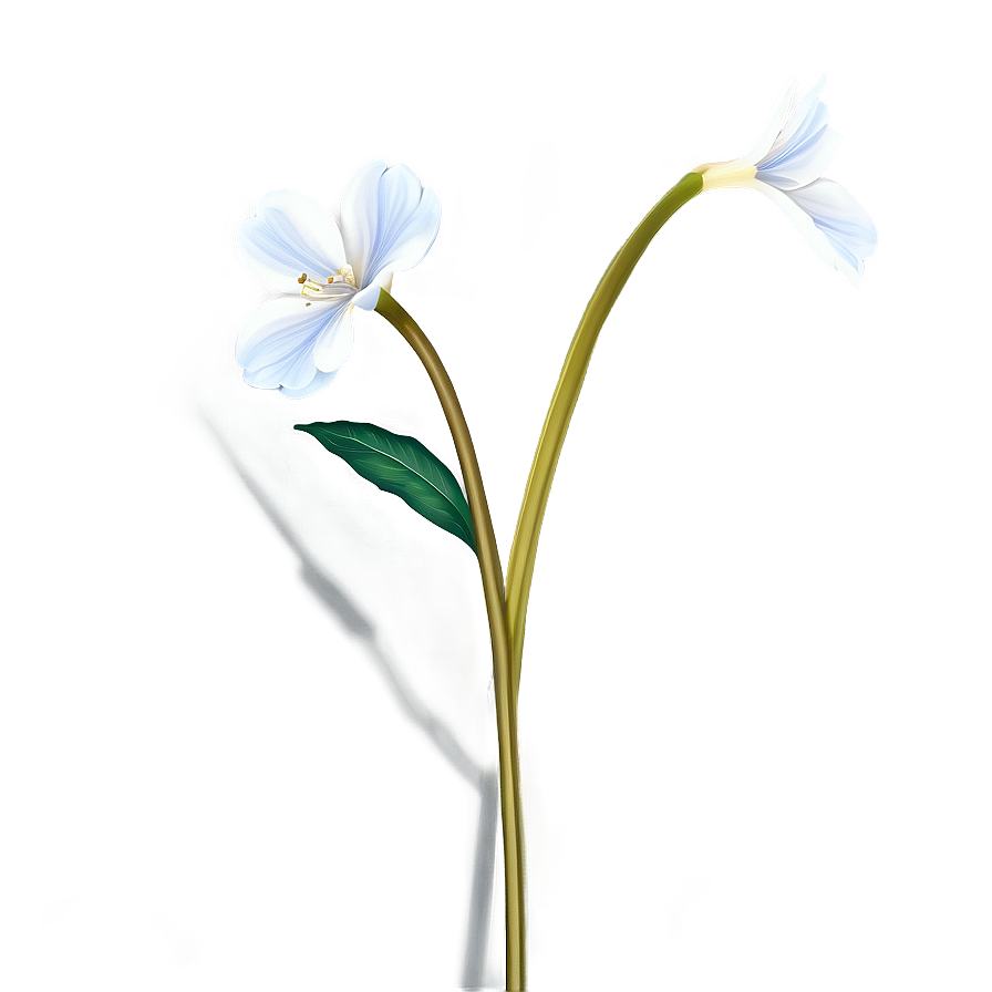 Transparent Flower Stem Png 06132024 PNG image