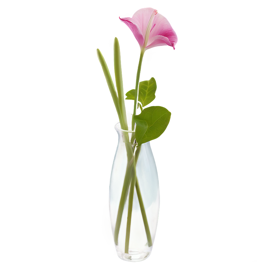 Transparent Flower Vase Png Yuv73 PNG image