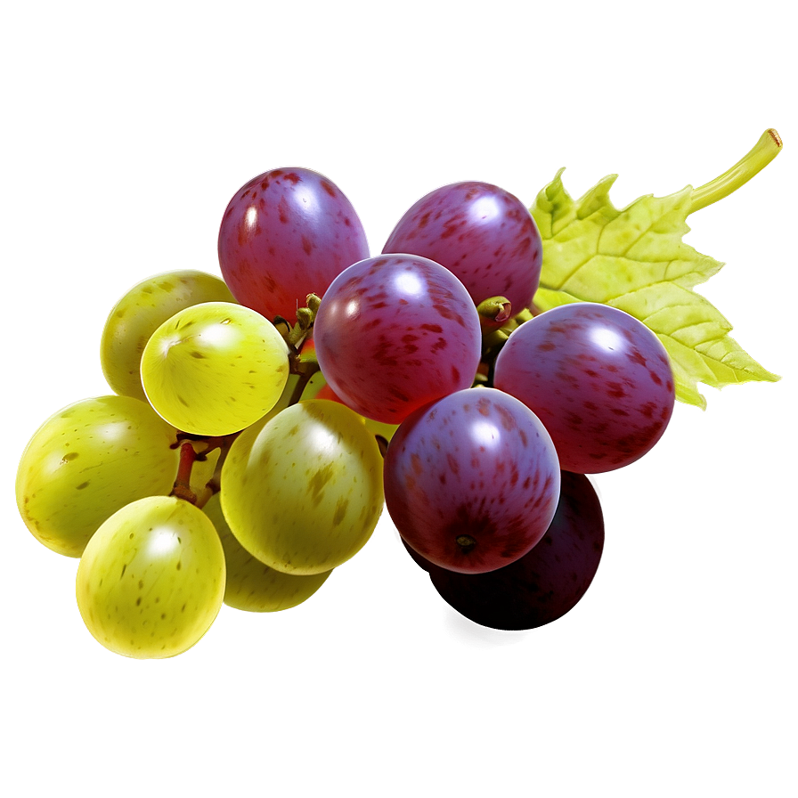 Transparent Grape Png Bry23 PNG image