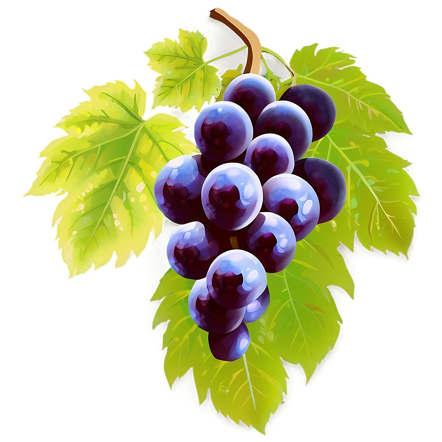 Transparent Grapes Png Kja37 PNG image