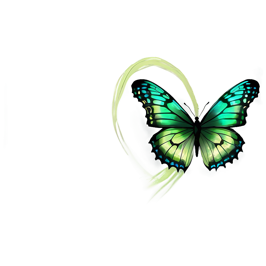 Transparent Green Butterfly Drawing Png 06202024 PNG image