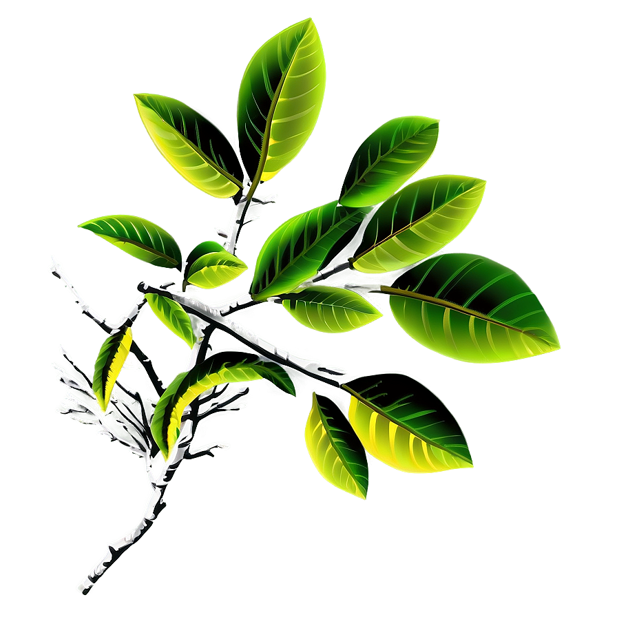 Tree Branch In Wind Png 05252024 PNG image