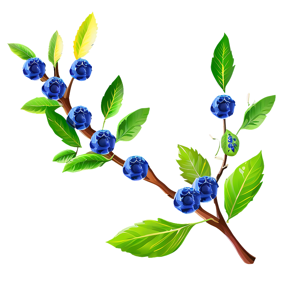 Tree Branch With Berries Png Xbd PNG image