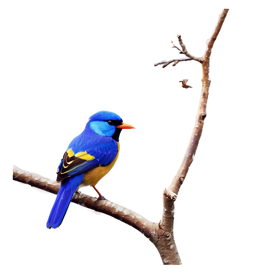 Tree Branch With Birds Png Rvb PNG image
