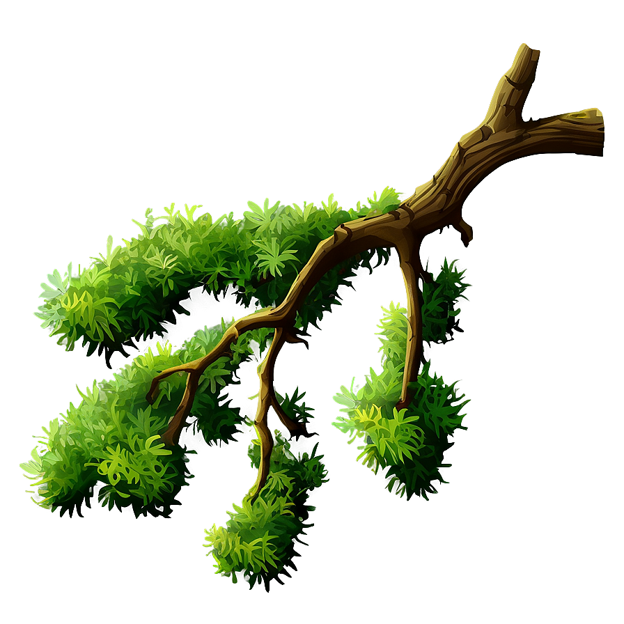 Tree Branch With Hanging Moss Png Xgu28 PNG image