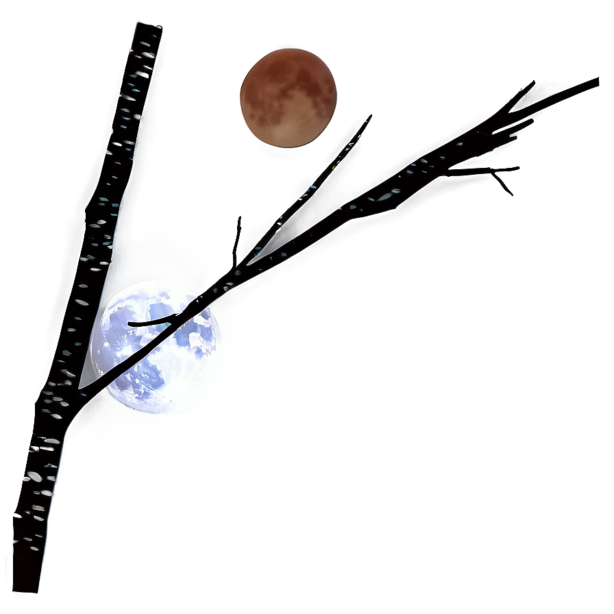 Tree Branches And Moon Png Bne PNG image