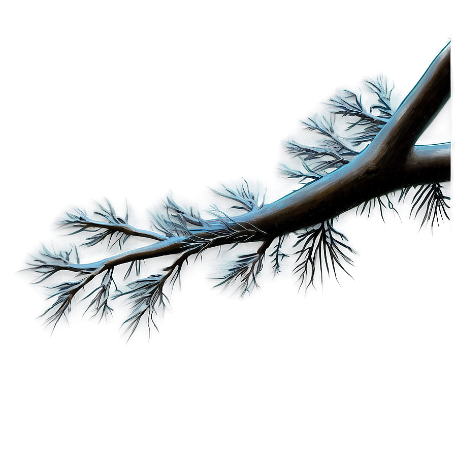 Tree Branches At Night Png 46 PNG image