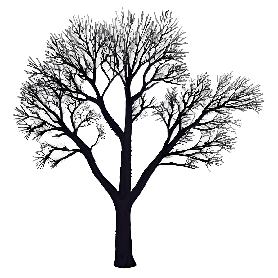 Tree Branches At Night Png Cvs21 PNG image